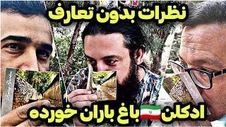 ⭐واکنش چشم بسته به عطر طبیعی باغ باران خورده🇮🇷 | بوستان سرسبز تهران🔥