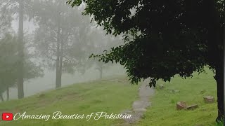 Beautiful Rainy Weather of Murree | Beautiful Rainy Day in Murree July 2022 | Beautiful Cloudy Day |