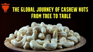 Processed Cashew: The Global Journey (Uses, Trends, Analysis, Opportunities)