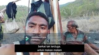 Tradisi Berburu Rusa Di Hutan DARRI. Pantar Tengah ALOR