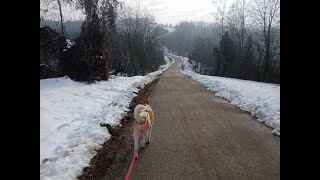 Escursione a Cantarana sulla Via dell'Acqua 18_12_2022