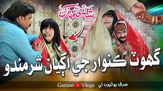 Ghot Kunwar Je Agiyan Sharmando | Asif Pahore (GAMOO) | Gamoo Vlogs | Kheero Buriro | New Comedy