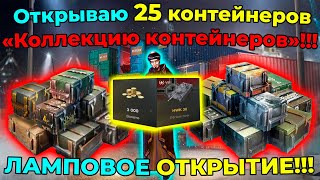 Открываю 25 контейнеров «Коллекцию контейнеров»!!! ЛАМПОВОЕ ОТКРЫТИЕ!!!