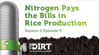 Nitrogen Pays The Bills in Rice Production