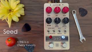 Seed by GuitarML - Pedalboard in a Box