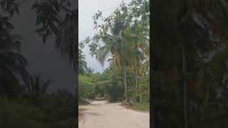 Is Driving In Zanznibar Dangerous? #shorts #shortsvideo #share #subscribe #africa #shortvideo #share