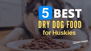 ⭕ Top 5 Best Dry Dog Food for Huskies 2024 [Review and Guide]