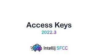 How to add Access Key | Salesforce B2C Commerce | Intellij SFCC