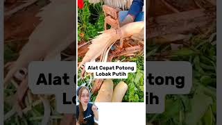 Alat Pemotong Lobak #short #shortvideo #fyp #fypシ゚viral #vidioviral