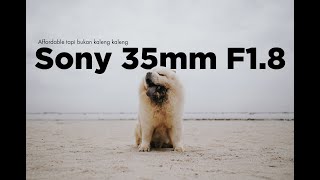 Review Lensa Sony 35mm F1.8