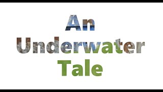 Harmony School of Innovation-Austin - Ms. Allen's Class - An Underwater Tale 2021