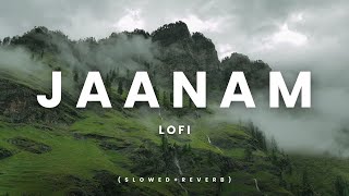 Jaanam - Lofi(Slowed+Reverb) | Bad Newz | Vicky Kaushal | Triptii Dimri | Vishal Mishra