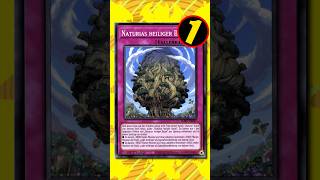 Darum ist Naturias heiliger Baum Limitiert in Yu-Gi-Oh!