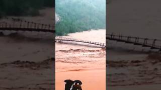 The bridge was destroyed due to #flood #bridge #destroyed #heavyrain #kotli #river