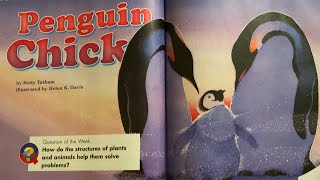 Penguin Chick By Betty Tatham Read Aloud