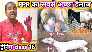 PPR Ka Kya Elaj Kare |Online Training class 16|Vimalumrao |PPR Kyu Hota Hai