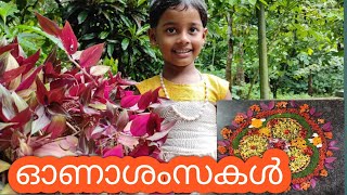 KuttettantePachakam ഫാമിലിയിലെ എല്ലാ കൂട്ടുകാർക്കും ഞങ്ങളുടെ ഹൃദയം നിറഞ്ഞ തിരുവോണ ആശംസകൾ |Happy Onam