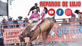 !!AYUDENLO, CAYO MAL EL JINETE!! GITANO DE OAXACA & EL TURCO DE LOS TERREMOTOS