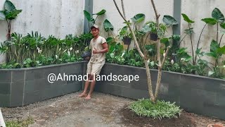 taman pot potan minimalis sederhana dalem rumah#taman#tamantangerang#landscape#shorts#tamansederhana