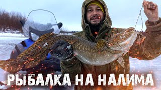 ИНТА | РЫБАЛКА НА НАЛИМА | ГОТОВИМ РЫБУ НА ФИНСКОЙ СВЕЧЕ