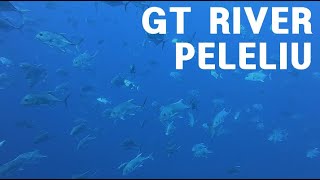 팔라우 펠렐리우 다이빙 GT river  '펠렐리우 컷' 포인트 peleliu diving #팔라우 #팔라우다이빙 #펠렐리우 #gtriver