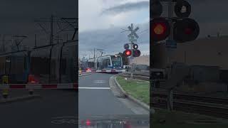 Lynx Light Rail @ South Blvd. & Scaleybark on 6/23/2023 in Charlotte #railfanning #railfans #train