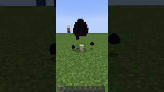 MINECRAFT LOGIC V18 turtle egg + INFO! #Shorts