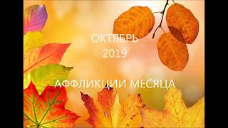 ОКТЯБРЬ 2019. Месяц Деревянной Собаки ЦЗЯ-СЮЙ 甲戌