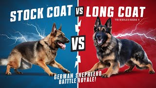 German Shepherd Battle Royale : Long Coat vs. Stock Coat German shepherd - Indian Edition"