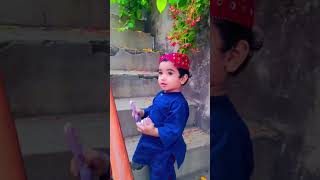 My beautiful plants And MUHAMMAD #youtubeshorts #viral #trending #reels #ytshorts