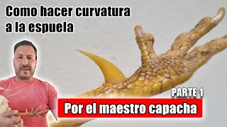 Hacer gancho en la pulla por el maestro capacha parte 1