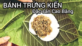 BÁNH TRỨNG KIẾN | MÓN NGON NỔI TIẾNG DU LỊCH CAO BẰNG