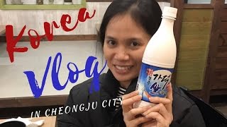 Korea Vlog (in Cheongju City) - April 25,2017