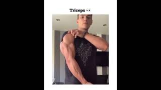 That Tricep 👀 🔥🔥🔥 #triceps #bodybuilding