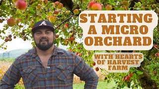 Starting an Organic Micro-Orchard in Georgia