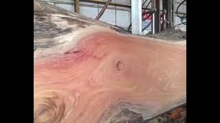 Big Wood Cutting By Heavy Mashin #woodworking #woodcuttingmachine