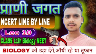 प्राणी जगत | animal kingdom class 11 ncert |class 11 biology animal kingdom | Ankit raj