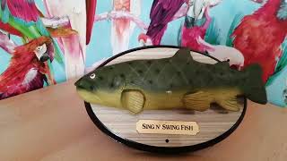 sing n swing fish