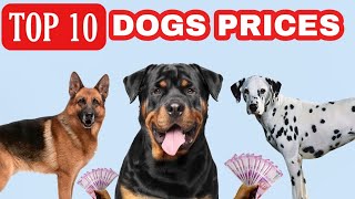 TOP 10 DOGS PRICES IN India | 2022 | Taju Logics