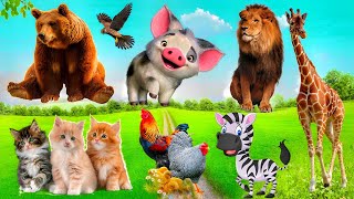 Cute Little Farm Animal Sounds - Dog, Lion, Kitten, Rabbit - Music For Relax