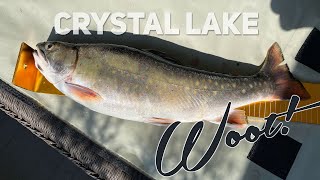 Once in a lifetime wild Brook Trout