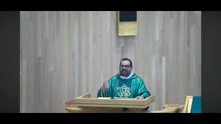 Live homily for  17th Sunday Ordinary Time. John 6:1-15. What to do when things aren’t good enough?