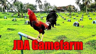 Lets Visit The Farm Of JDA Gamefarm