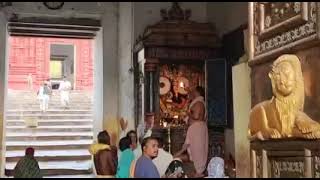 Today's Mangal Arati of Lord Jagannath at Shree Jagannath Dham #Puri#KamadaEkadashi