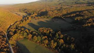 Aerial drone shot of grass fields and forests at sunset FREE STOCK VIDEO