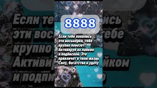 Какое ваше тотемное животное по календарю коренных американцев_ #гороскоп #астрология #знакизодиака