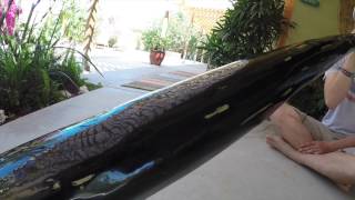 "MG604" Agave Didgeridoo by Myke Gomezmaicas