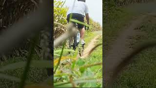 jembatan kayu #shortsvideo #shortvideo #cycling #gowes #jembatankayu #kebunjagung