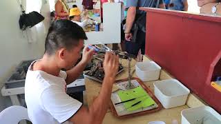 Seeding Oysters for Pearl Production in Taha'a, French Polynesia