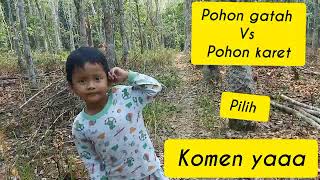 explore kebun karet